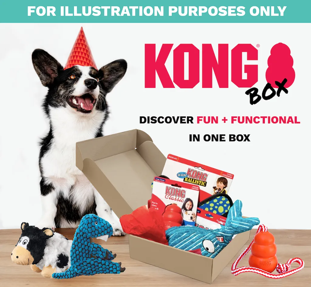 30% OFF: Kong Power Chewers Box