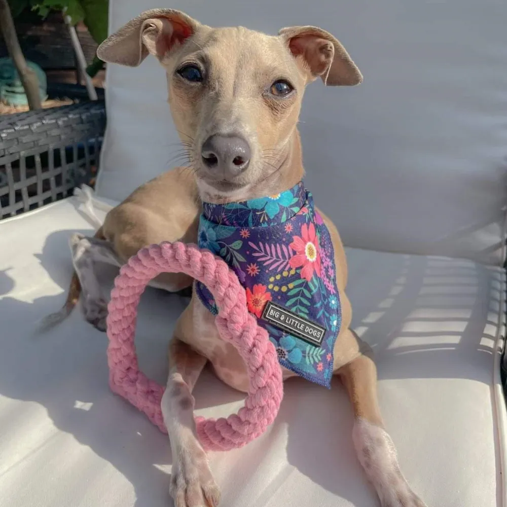 Love Heart Rope Dog Toy