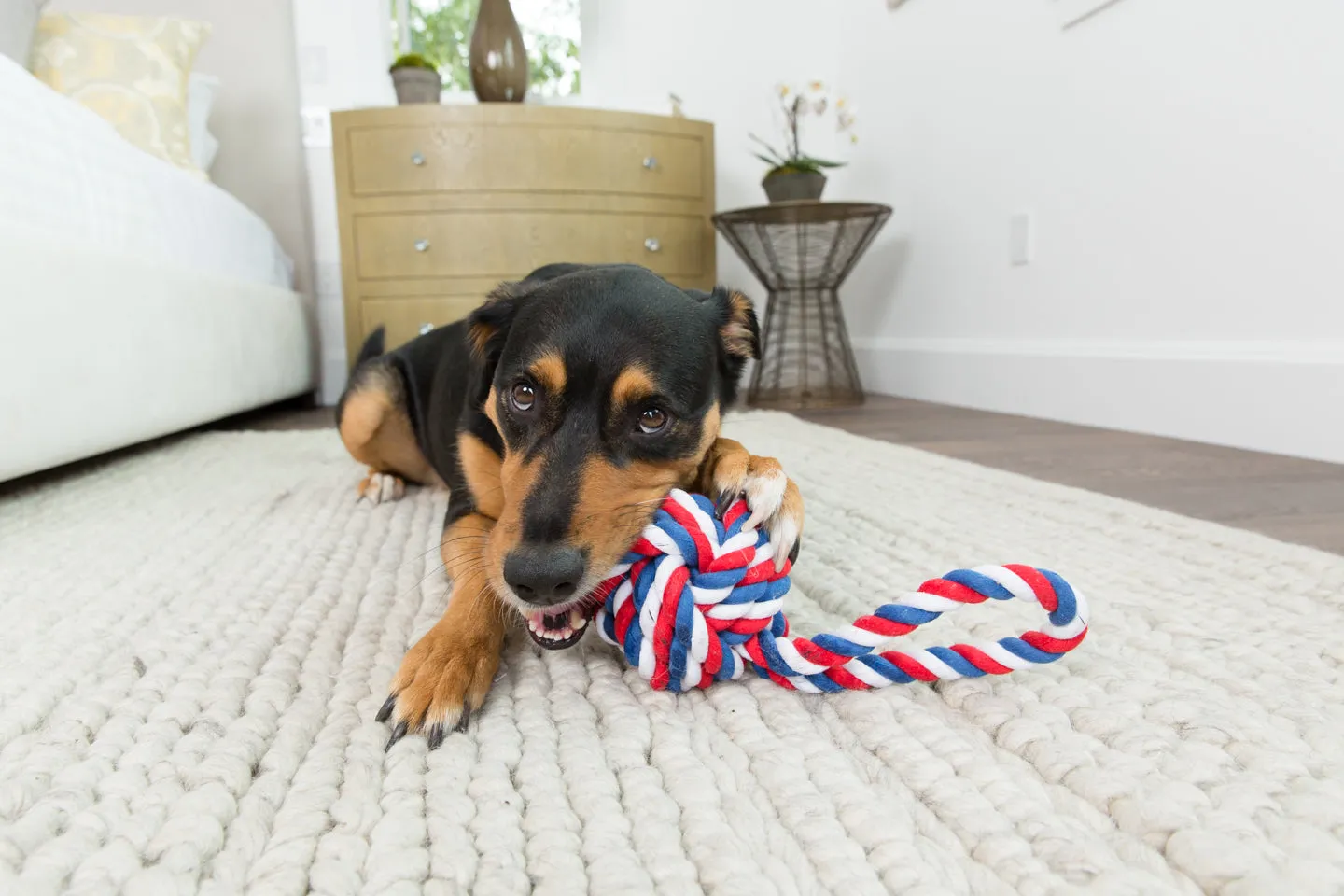 Red, White and Blue Knot Rope Dog Toy