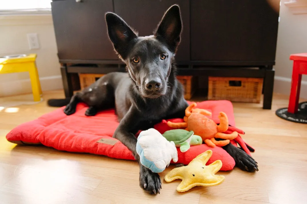 Under the Sea Plush Toy Set