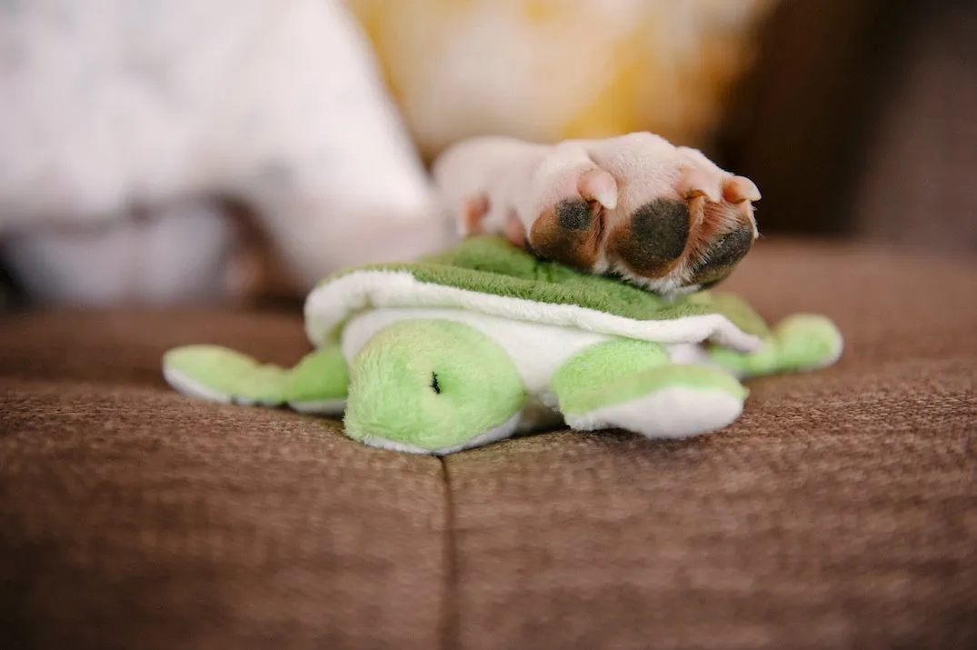 Under the Sea Plush Toy Set